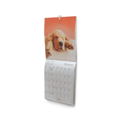 A wall calendar, open to August, shows a light brown puppy above the grid. Ideal for small spaces, it can be easily hung with Command™ Mini-Hooks, 17066 by 3M Deutschland GmbH (adhesive hook). The background is white.