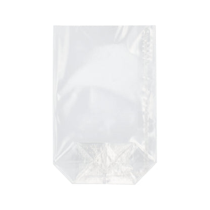 A transparent, rectangular Starpak 300 flat-bottom bag from Starpak with sealed side edges is depicted empty and photographed against a plain white background.