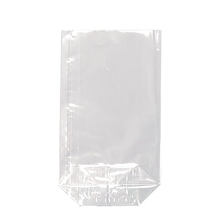 The Starpak 10 bottom bag, PP transparent, is a clear, rectangular bag with a flat bottom from Starpak, ideal for versatile packaging and depicted on a white background.
