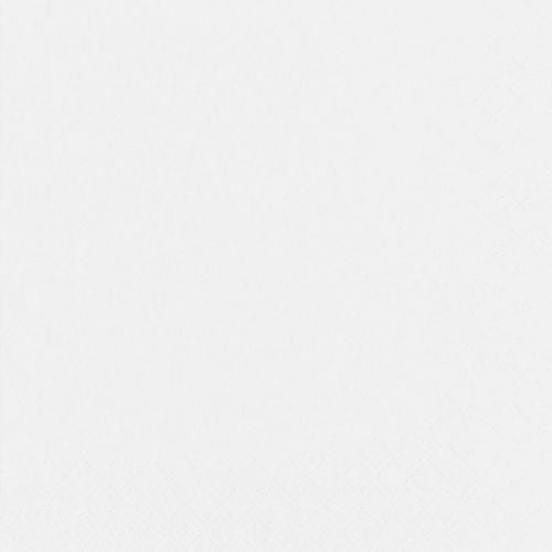 A simple white, textured surface with a subtle diamond pattern reminiscent of the PAPSTAR 250 napkins, 3-ply 1/4-fold from PAPSTAR GmbH. The image has even lighting and a clean appearance, without recognizable objects or colors.