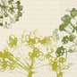Abstract botanical illustration with green and yellow shapes on a beige, textured, geometric background - depicted on napkins 33 3-ply 1/4 Green Umbles (250 napkins) by Duni GmbH. "DUNE" appears in a small oval at the bottom right.