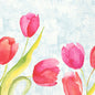 A watercolor illustration of six pink and red tulips with green leaves on a blue, textured background adorns the Duni GmbH napkins 40x40 cm 3-ply, 1/4-fold, Painted Tulips (250 pieces). "DAWN" is written on a small round label at the bottom right.