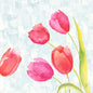 A delicate watercolor of five pink and red tulips with green stems, inspired by the napkins 40x40 cm 4-ply Classic with painted tulips (50 pieces) by Duni GmbH, against a light blue, textured background.
