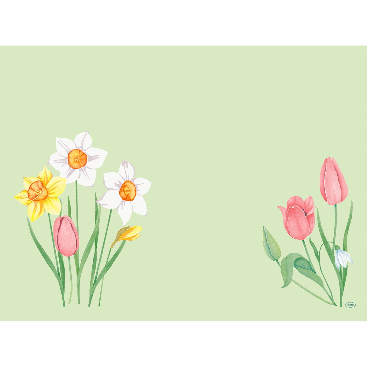 Bio-Dunicel Sets 30x40 Spring Melody by Duni GmbH: Illustration of spring flowers on light green with daffodils, tulips, and snowdrops - ideal for sustainable table decoration or your next spring melody table setting. Package (100 pieces).