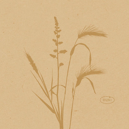 A minimalist illustration of wild grasses and plants in brown tones adorns these 20x20cm organic Dunisoft eco-friendly napkins from Duni GmbH, with the word "DUNI" in an oval at the bottom right on a textured light brown background.