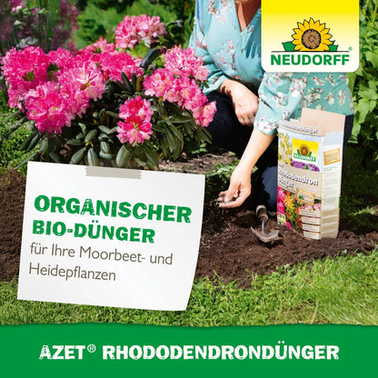Someone is planting pink rhododendrons and azaleas and holding the soil next to the Azet Rhododendron Fertilizer from Neudorff Shop. A sign displays product and plant data in the garden bed.
