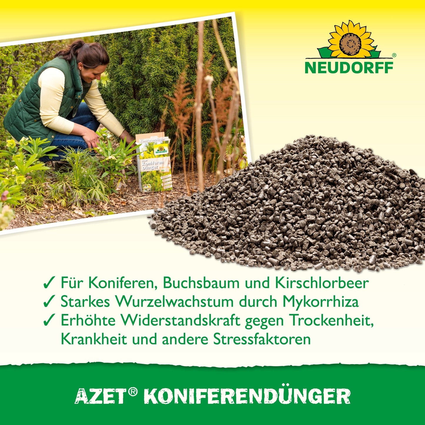A person kneels next to a conifer and holds a box of Neudorff Shop Azet Conifer Fertilizer in hand, with dark granules nearby. The text highlights the benefits of this complete fertilizer for healthy, lush, evergreen needle trees and natural privacy walls.