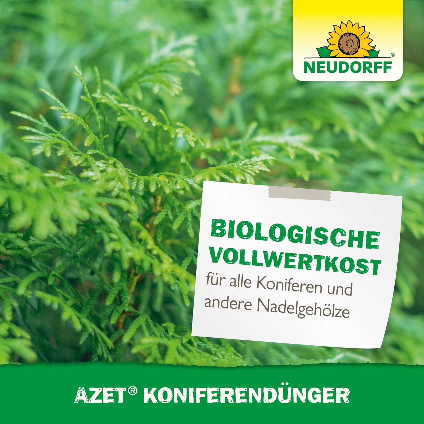A close-up of green needle tree branches with the inscription "Biological full-value food for all conifers and other evergreen needle shrubs." The Neudorff Shop logo with a sunflower is visible at the top right. Below is the product name: Azet Conifer Fertilizer.