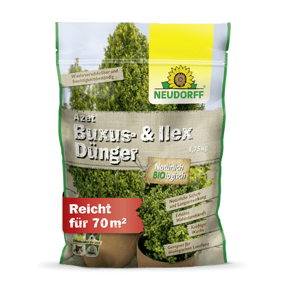 A 1.75 kg bag of Neudorff Shop Azet Buxus & Ilex Fertilizer stands upright and shows green boxwood and holly on the packaging, with product information and a reach of 70 m² printed on the front.