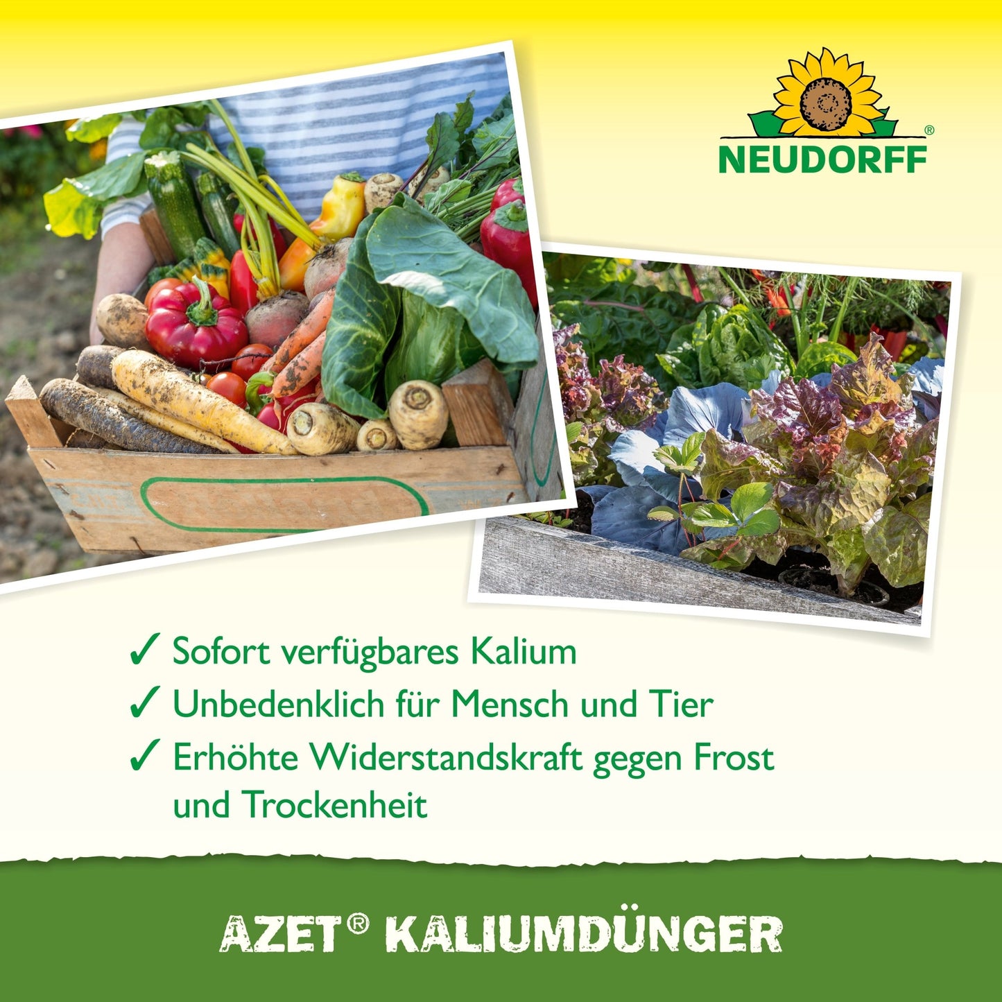 A wooden box with vegetables stands next to leafy greens. The text highlights Azet Potassium Fertilizer from Neudorff Shop, which offers immediate nutrient availability for plant fertilization and is safe for humans and animals.