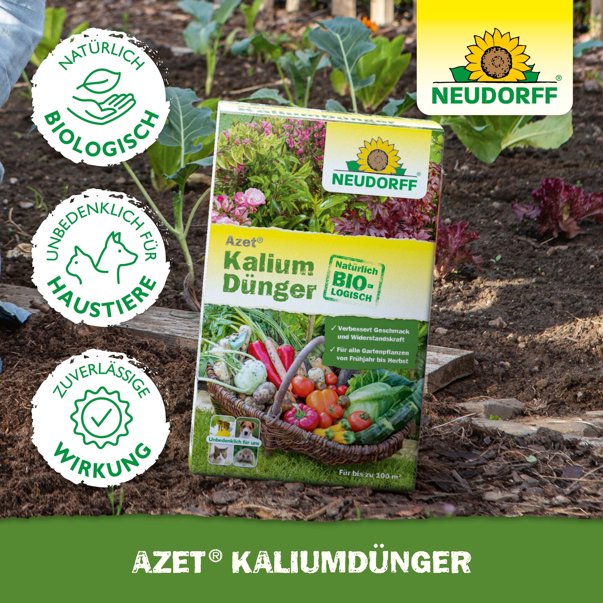 Eine Schachtel Azet KaliumDünger aus dem Neudorff Shop steht auf der Gartenerde zwischen Gemüse und Grünpflanzen und zeigt Produktinfos und Zertifizierungen. Ideal zum Düngen von Pflanzen und zur Vorbeugung von Kaliummangel.