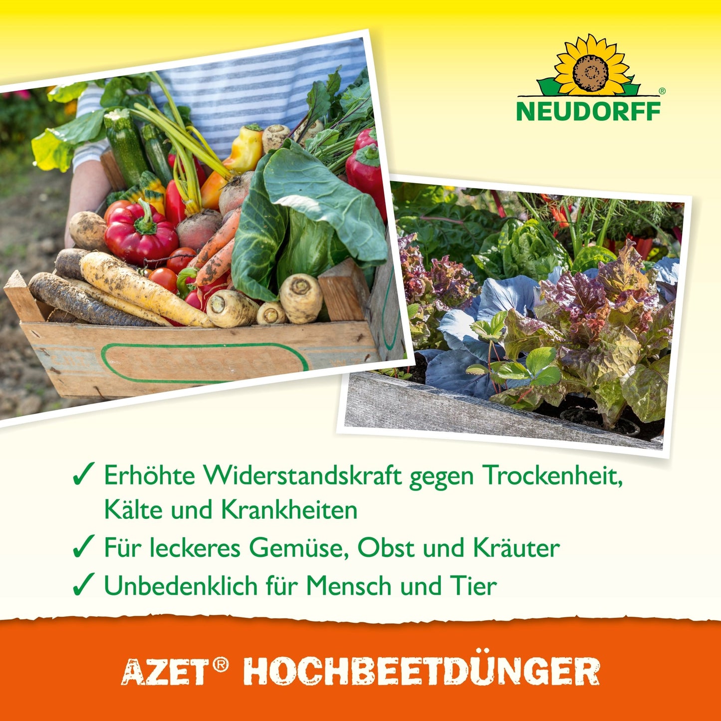 A wooden box with various vegetables stands next to leafy greens in a raised bed. The German text lists the nutrients of Azet Raised Bed Fertilizer liquid for plant health, with the Neudorff Shop logo at the top.