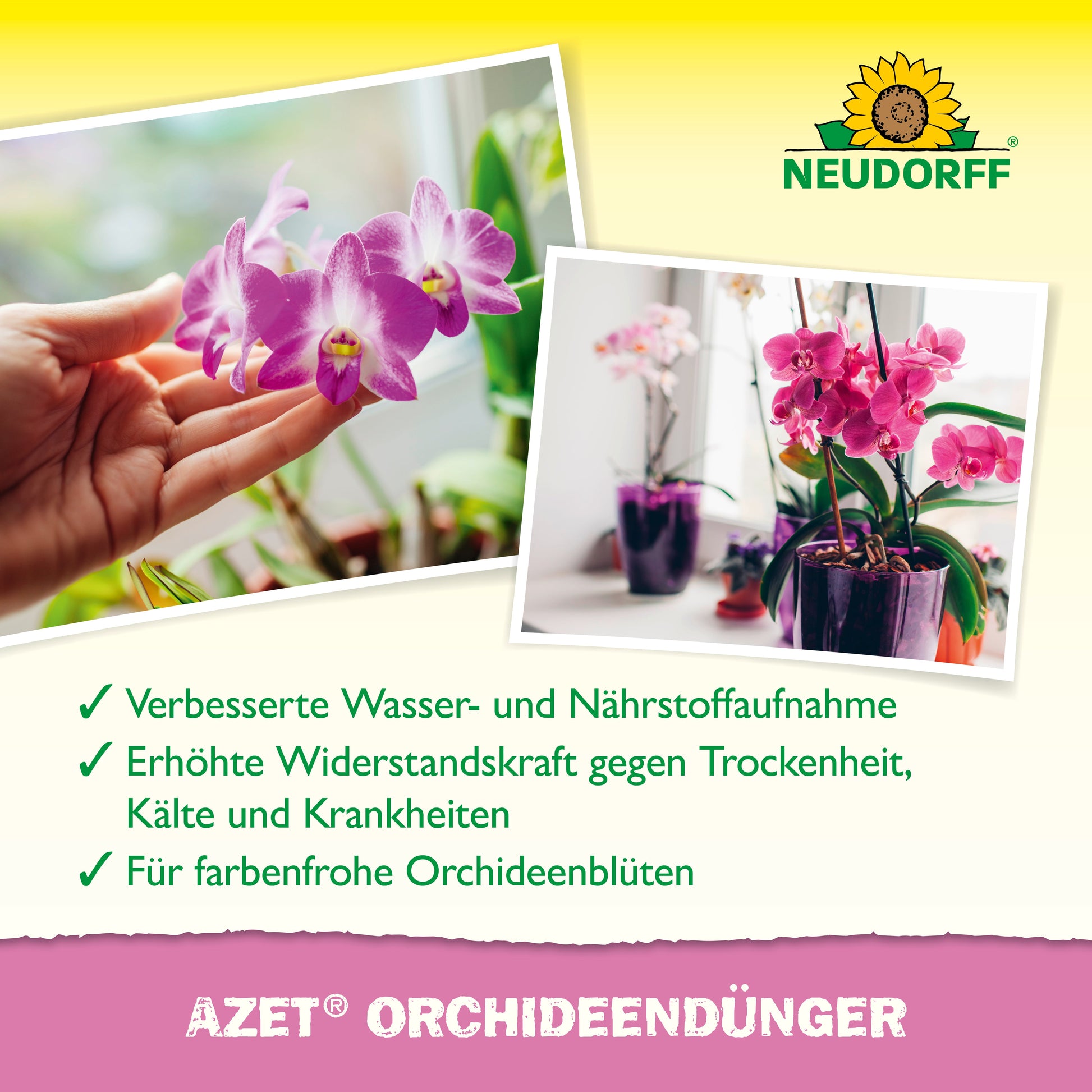Eine Hand berührt eine blühende Orchidee, und ein anderes Foto zeigt rosa Orchideen in Töpfen. Der Text wirbt für Azet OrchideenDünger flüssig für schöne Blüten. Oben ist das Logo des Neudorff Shops zu sehen.