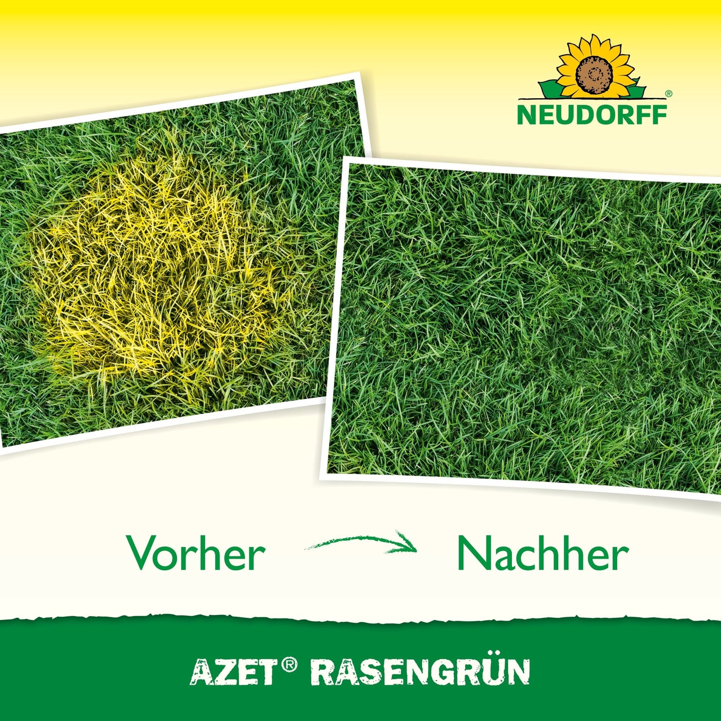Two photos of lawns: left shows yellow spots with the caption "Before", right shows lush green after 4 days with the caption "After". Above and below are the logos and texts of Neudorff Shop and Azet LawnGreen.