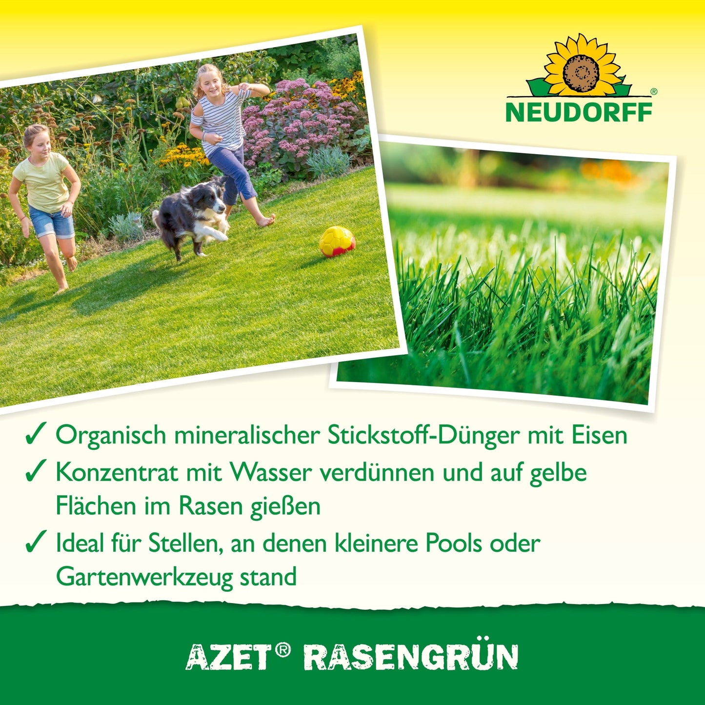 A woman and a child run with a dog on a green meadow. Inset shows lush grass. The text highlights the quick effect of Neudorff Shop Azet LawnGreen within 4 days - ideal for yellow spots - and provides information on properties and application.
