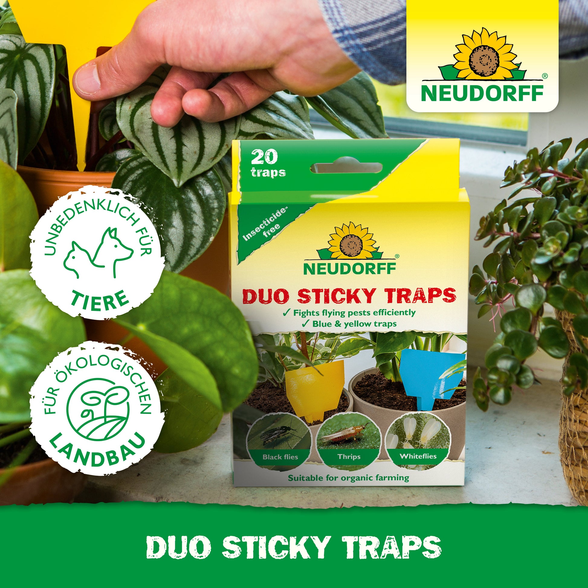 Eine Hand stellt eine gelbe Duo-Klebefalle von Neudorff Shop in eine Topfpflanze. Davor steht auf einem Tisch zwischen grünen Blättern eine Schachtel mit der Aufschrift "Neudorff Shop Duo Sticky Traps", mit Symbolen für Tiersicherheit und Biotauglichkeit.