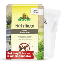 Die Schachtel von Neudorff Shop Nützlinge gegen Ameisen zeigt einen deutschen Text, Bilder von Ameisen, einem Haus, Gras und ein Sonnenlogo. Ein weißes Päckchen ist teilweise sichtbar. Ein rotes Banner weist auf die wirksame Bekämpfung von Ameisennestern durch Nematoden hin.