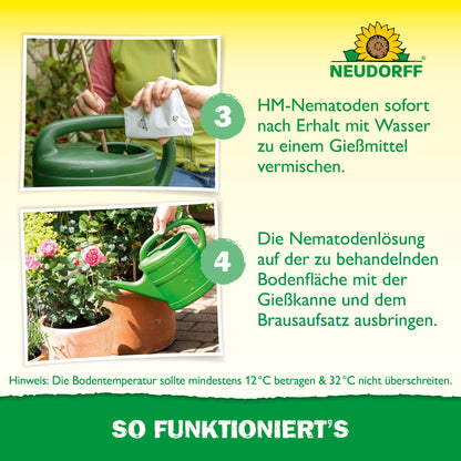 Eine Person mischt Nützlinge gegen Dickmaulrüssler von Neudorff Shop mit Wasser in einer grünen Gießkanne, um Engerlinge zu bekämpfen, und gießt die Lösung auf den Boden. Das Bild zeigt Anweisungen und Informationen in deutscher Sprache.