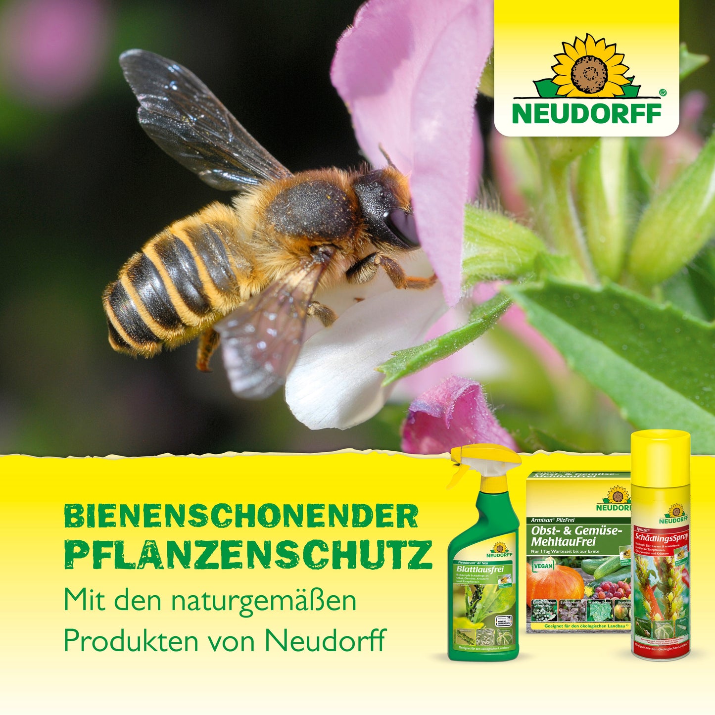 Eine Biene sammelt Nektar von einer rosa Blüte. Im Vordergrund stehen drei OrchideenPflege Produkte von Neudorff Shop. Der deutsche Text hebt die bienenfreundlichen, natürlichen OrchideenPflege Pflanzenhilfsmittel von Neudorff Shop hervor.