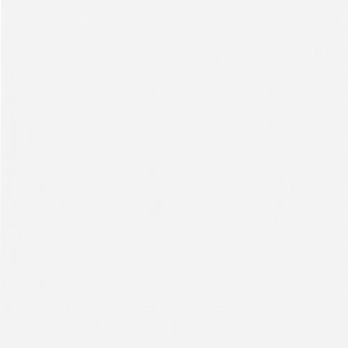 A simple, solid white background – like the PAPSTAR 50 napkins, 2-ply 1/4-fold 40 cm x 40 cm from PAPSTAR GmbH – without patterns or striking features.