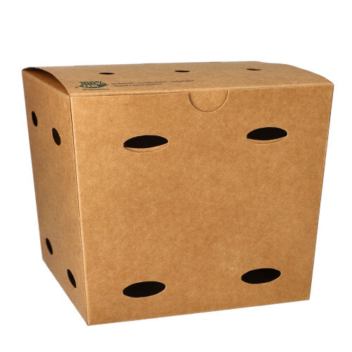 A brown French fry box from PAPSTAR GmbH made of "pure" cardboard with oval ventilation holes, fairly produced, depicted against a plain white background.