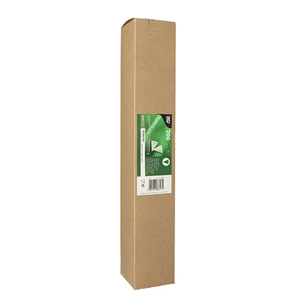 A rectangular, brown cardboard box stands upright and bears a green-white label on the front with the inscription “PAPSTAR 200 cone cups made of sugarcane paper” from PAPSTAR GmbH and a barcode.