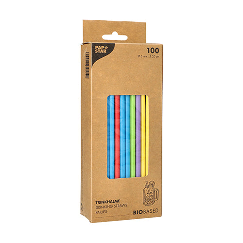 The box of PAPSTAR GmbH contains 100 PAPSTAR 6 mm paper straws in blue, red, yellow, and green. The cardboard box has a small viewing window for the straws and shows product information in black print on the front.