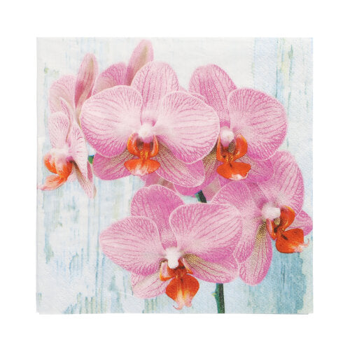 A close-up of pink orchids with orange centers on a light blue-white background adorns the PAPSTAR 20 napkins, 33 cm x 33 cm, 3-ply, design set 2 by PAPSTAR GmbH.