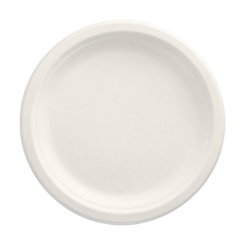 A PAPSTAR 12 plate, sugarcane "pure" undivided from PAPSTAR GmbH is seen from above on a white background. The round, simple plate with a raised edge is environmentally friendly and compostable – ideal for any occasion.