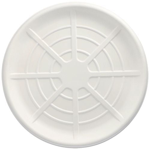 The PAPSTAR 25 serving platters, sugarcane “pure” round from the PAPSTAR GmbH are round, white serving platters with raised concentric circles and geometric lines; environmentally friendly and ideal for sustainable serving.
