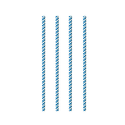 Four identical PAPSTAR 100 paper straws (Ø 6 mm, by PAPSTAR GmbH) with vertical blue and white stripes are evenly distributed on a plain white background.