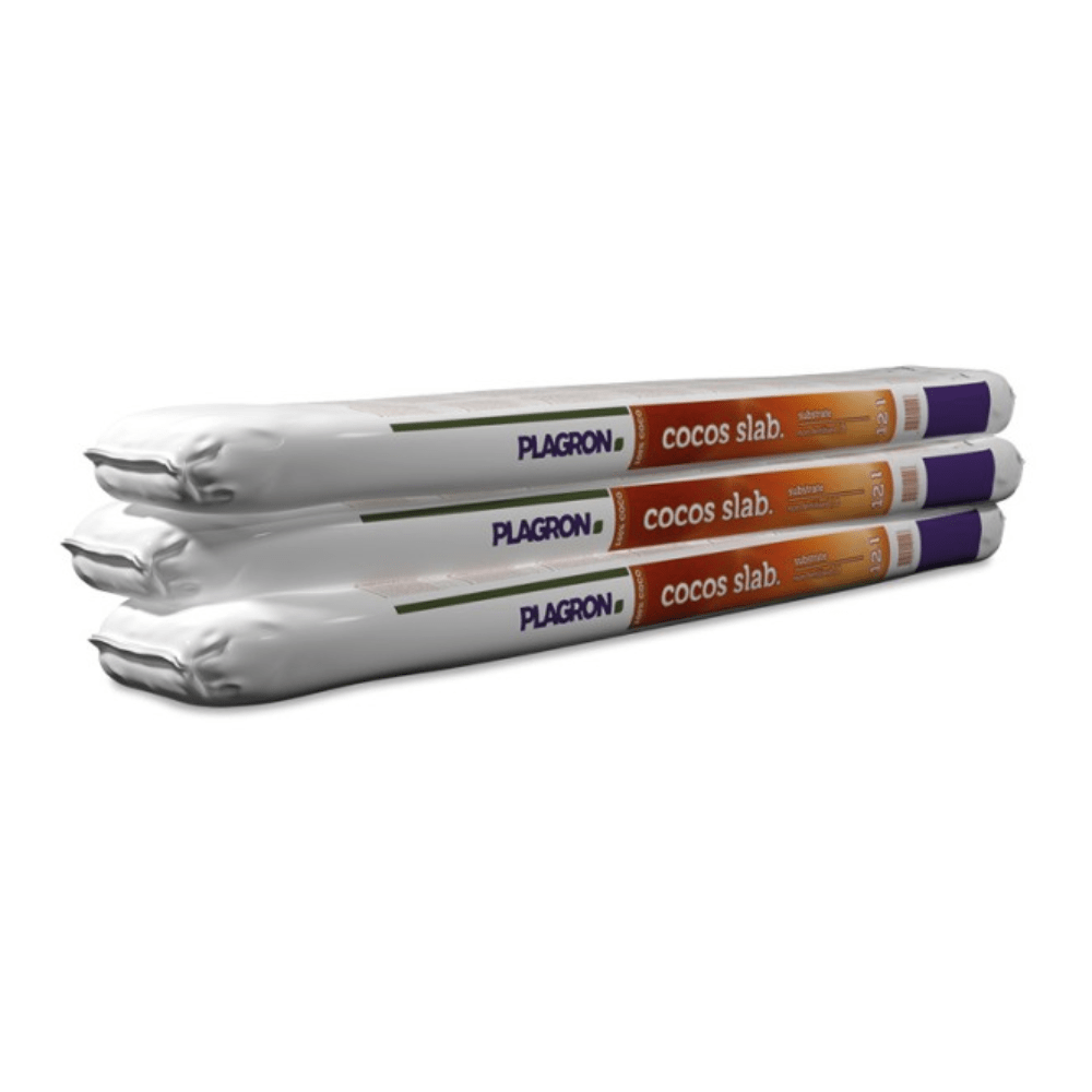 Three cylindrical packages of Plagron Cocos Slab by Bertels B.V. are stacked horizontally and bear the RHP quality mark. The packaging is predominantly white with orange and purple accents, and the product name is in bold.