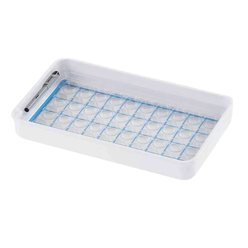 The melipul cup tray 40x1-43 from Helmut Schwarz GmbH is a rectangular, white tray with a grid of small round depressions covered by a transparent plastic lid. It is ideal for medication organization and features a black pen on the edge, making it perfect for sorting lenses or other small items in medical facilities.